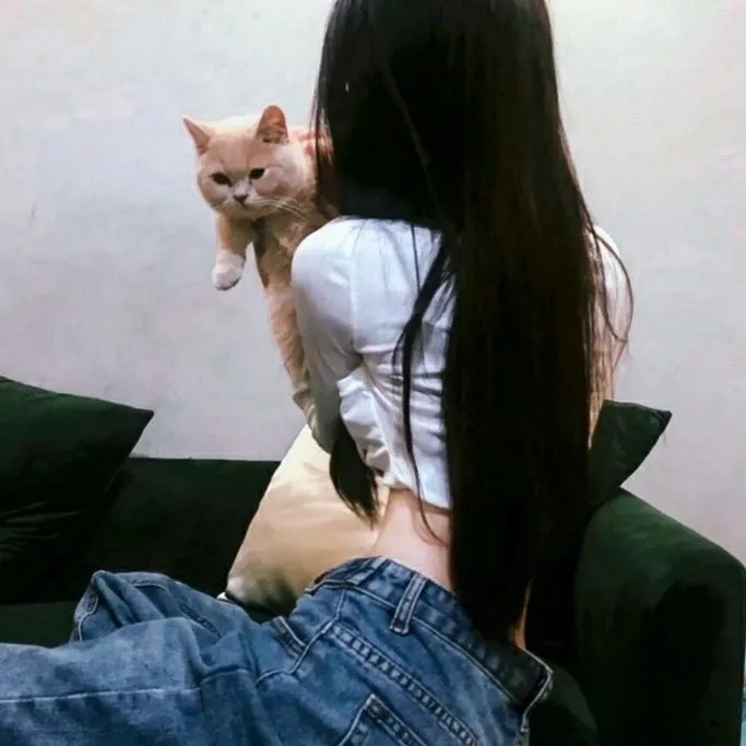 伊芙与火马
